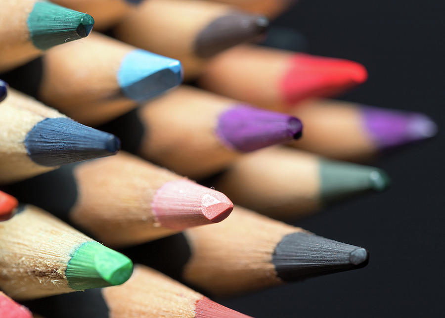 Colored Pencils 1 Photograph by Amelia Pearn