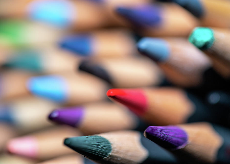 Colored Pencils 4 Photograph by Amelia Pearn