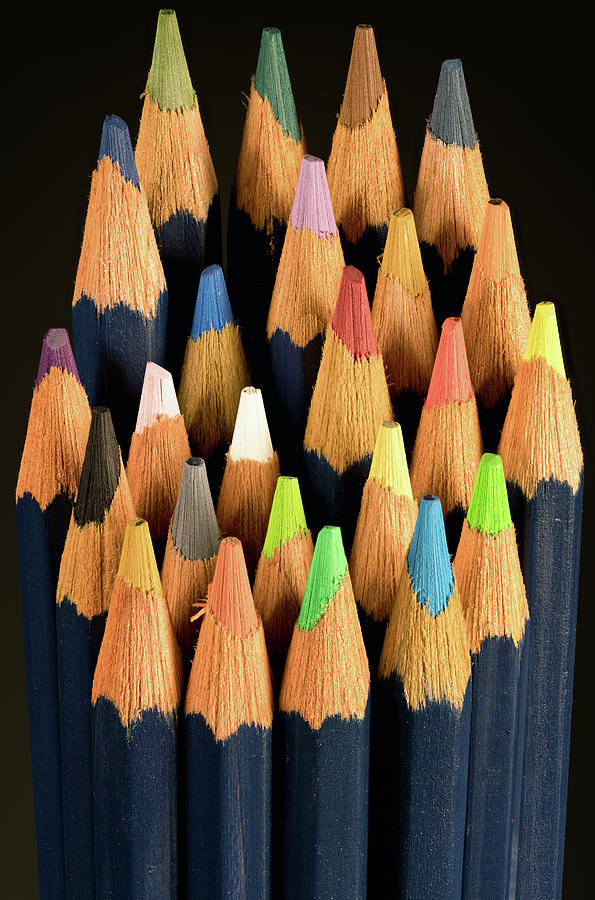 Colored Pencils Photograph by Steven Nelson