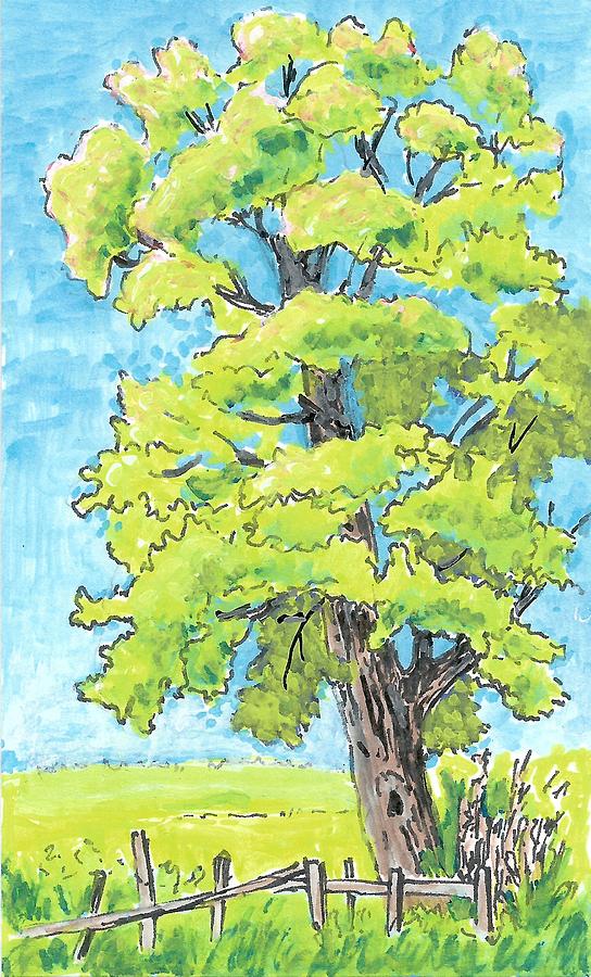 Colored Sketch Tree Painting