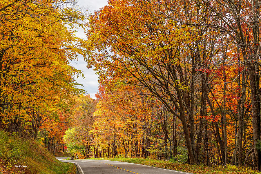 Colorfall Backroads Photograph by Dale R Carlson