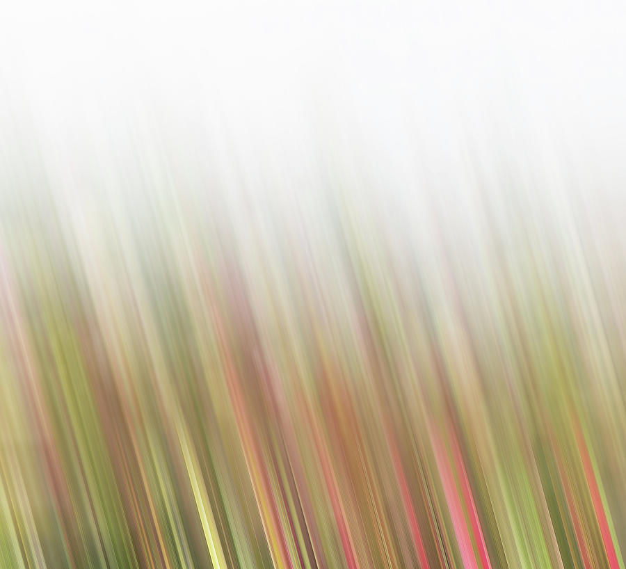 Colorful Abstract Photograph