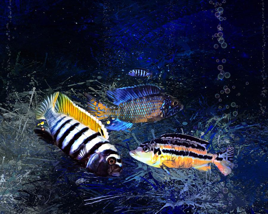 Colorful African Cichlids Digital Art