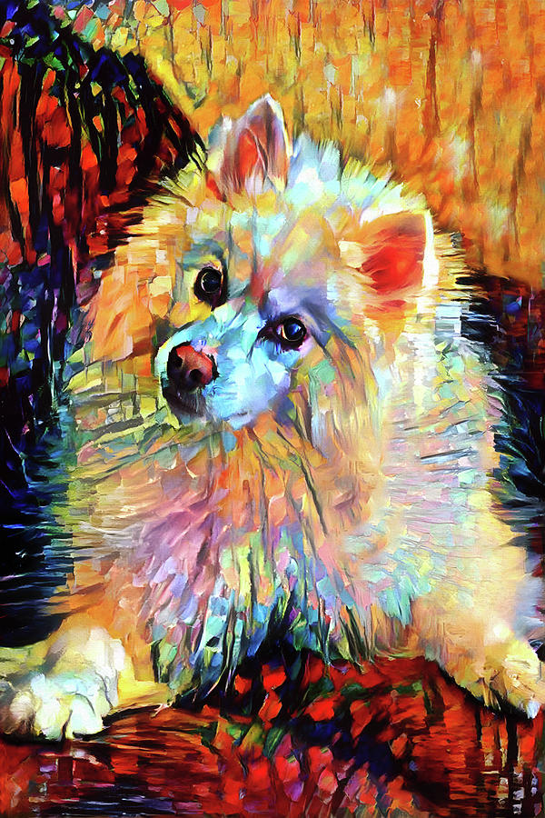 Colorful American Eskimo Dog Art Digital Art by Peggy Collins