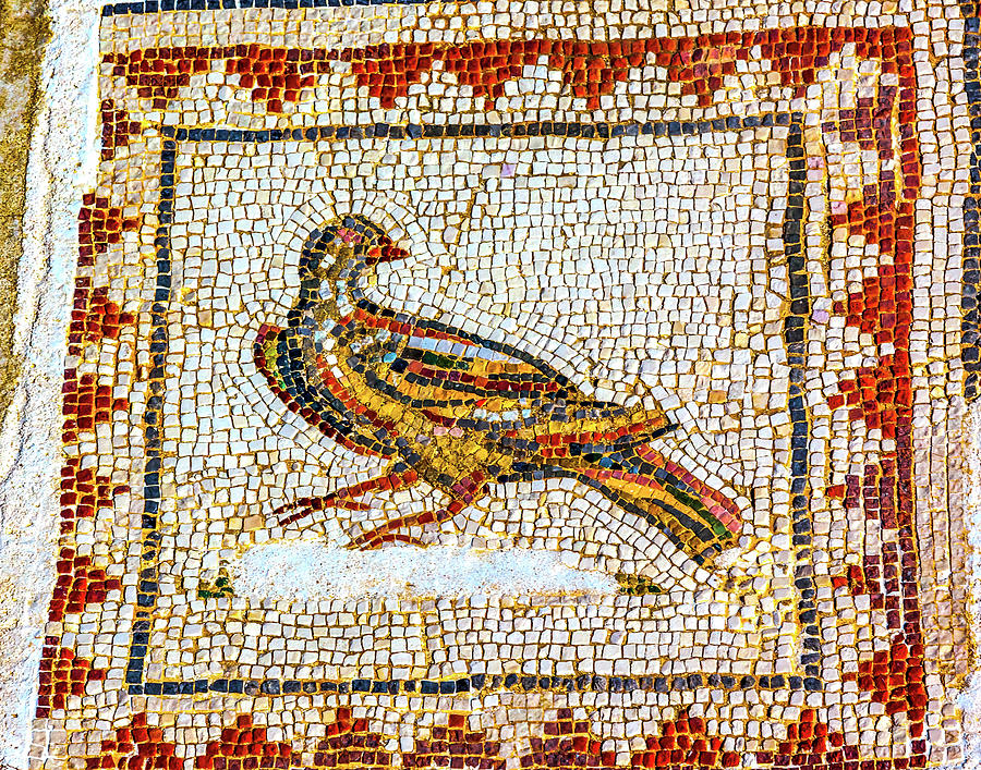 Colorful Ancient Bird Mosaic Italica Roman City Seville Andalusi ...