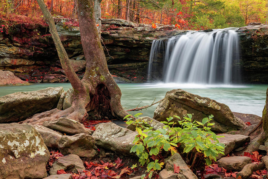 Colorful Autumn At Falling Water Falls Arkansas Photograph