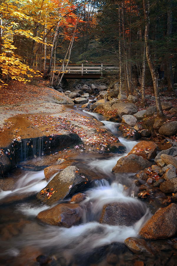 Colorful Autumn creek Photograph by Songquan Deng