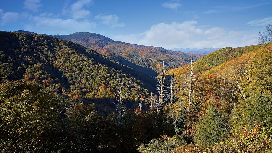 Colorful Autumn in the Blue Ridge Mountains Photograph by Ronald Lutz