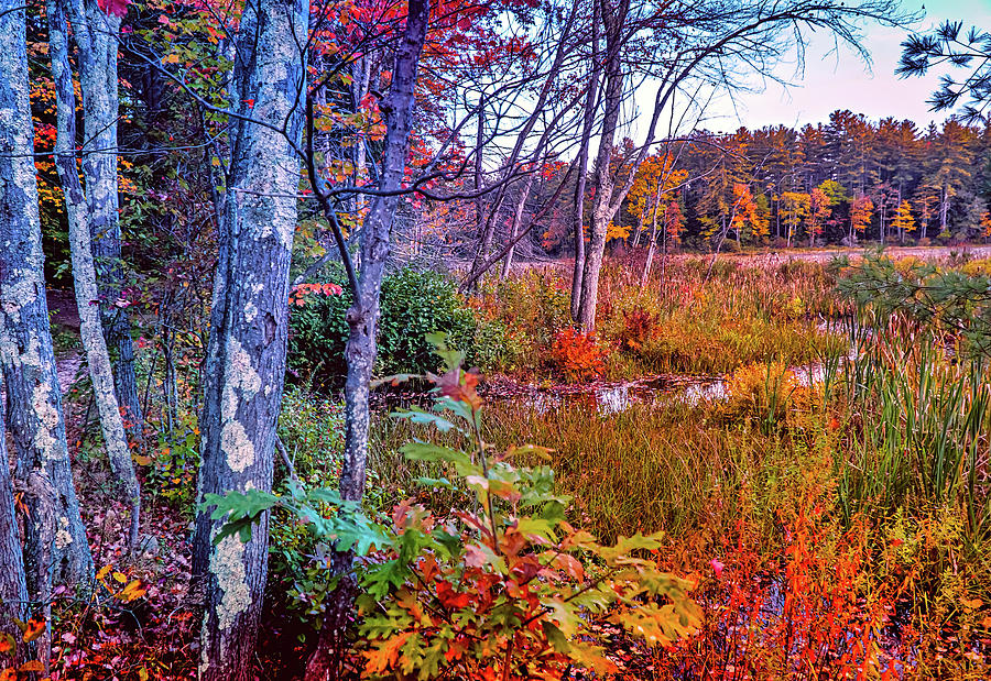 Colorful Autumn Landscape Scene Photograph by Lilia S