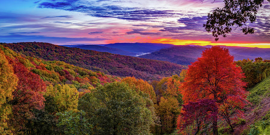 Colorful Autumn Morning at Artist Point Arkansas - Panoramic Edition Photograph by Gregory Ballos