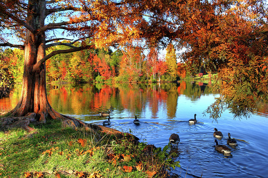 Colorful Autumn on the Lake Photograph by Dan Carmichael