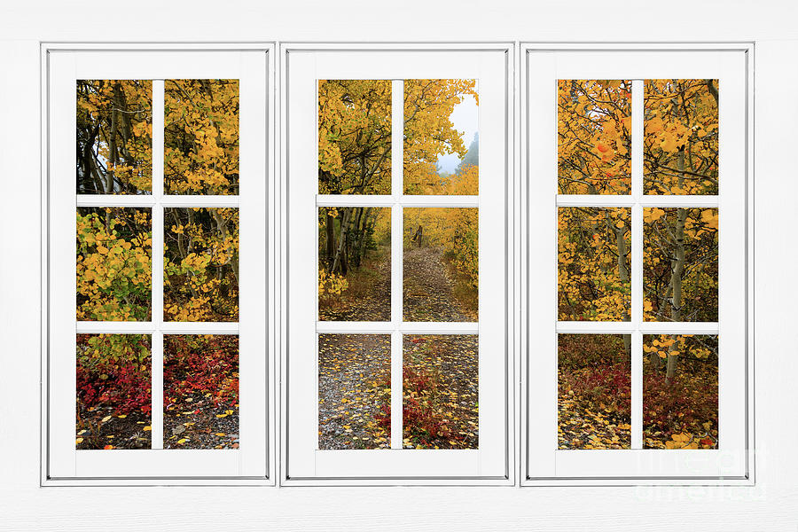 Colorful Autumn Path White Picture Window Frame View Photograph