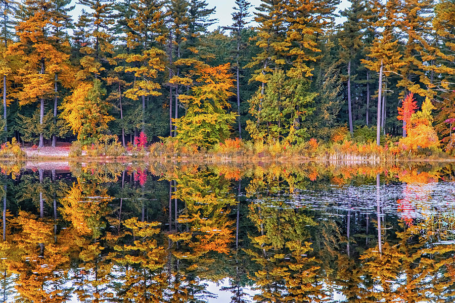 Colorful Autumn Pond Reflections Photograph