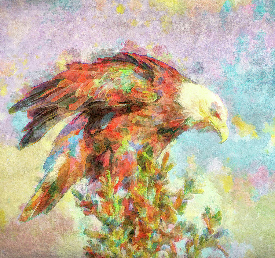 Colorful Bald Eagle Painting Painting by Dan Sproul