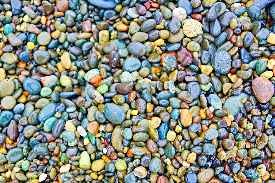 Colorful Beach Rocks Photograph by Bill TALICH