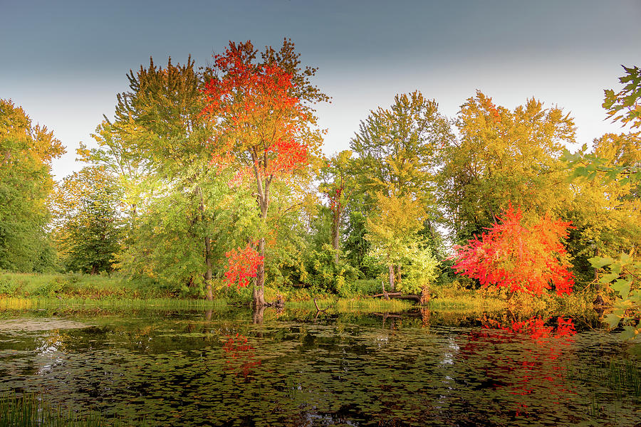 Colorful Beautiful Autumn Landscaping On The Lake Photograph By