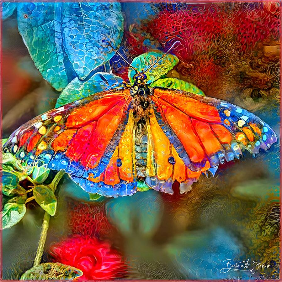 Colorful Beauty Photograph by Barbara Zahno