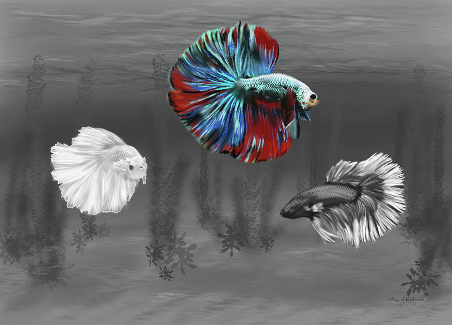 Colorful Beta Fish Selective Color Digital Art