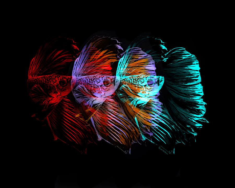 Colorful Betta Fish Abstract 03 Digital Art