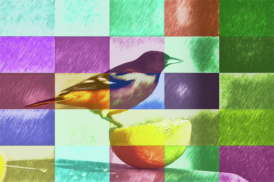 Oriole Digital Art - Colorful Bird and Fruit Pop Art  by Shelli Fitzpatrick