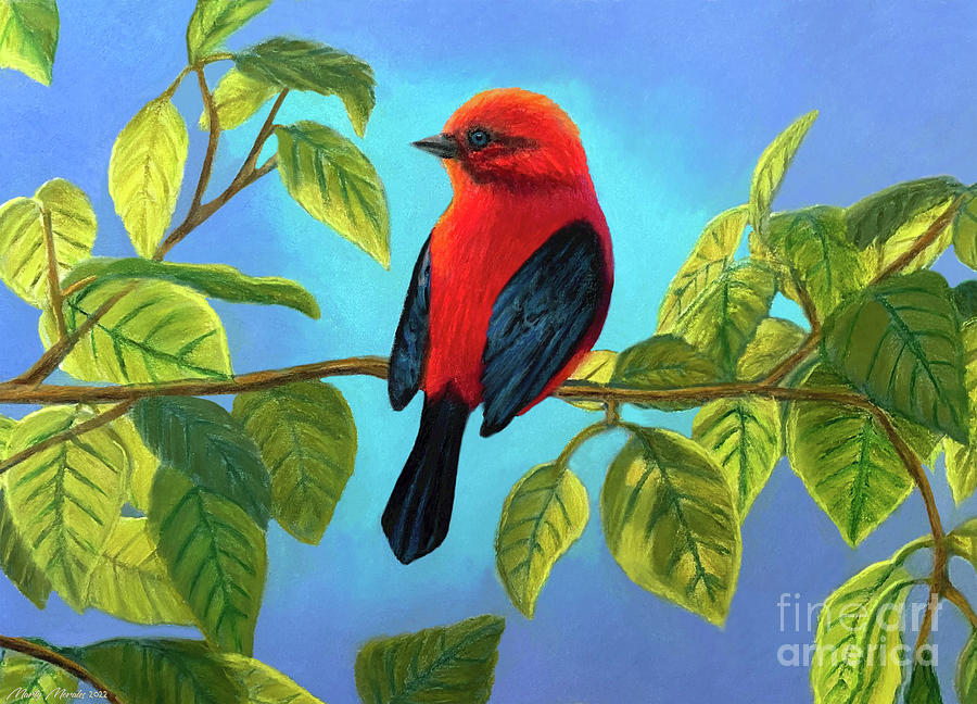 Colorful Birds V37 Pastel by Martys Royal Art