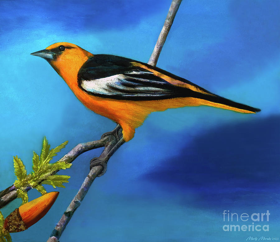 Colorful Birds V39 Pastel by Martys Royal Art