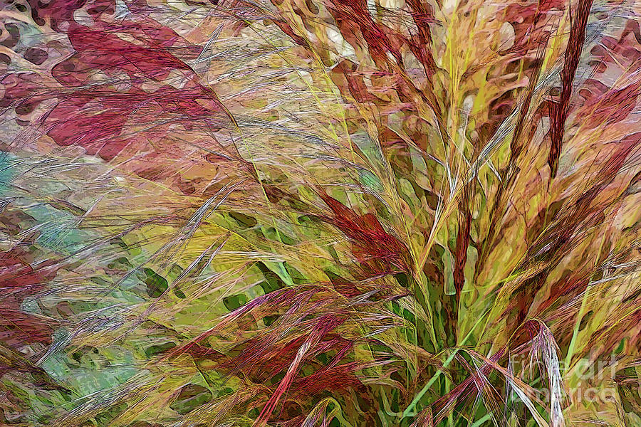 Colorful Blades of Grass Photograph by Roslyn Wilkins