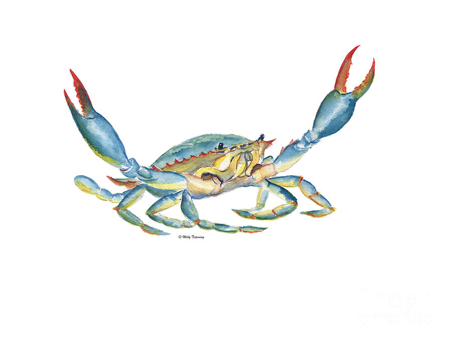 Blue Crab Painting - Colorful Blue Crab by Melly Terpening