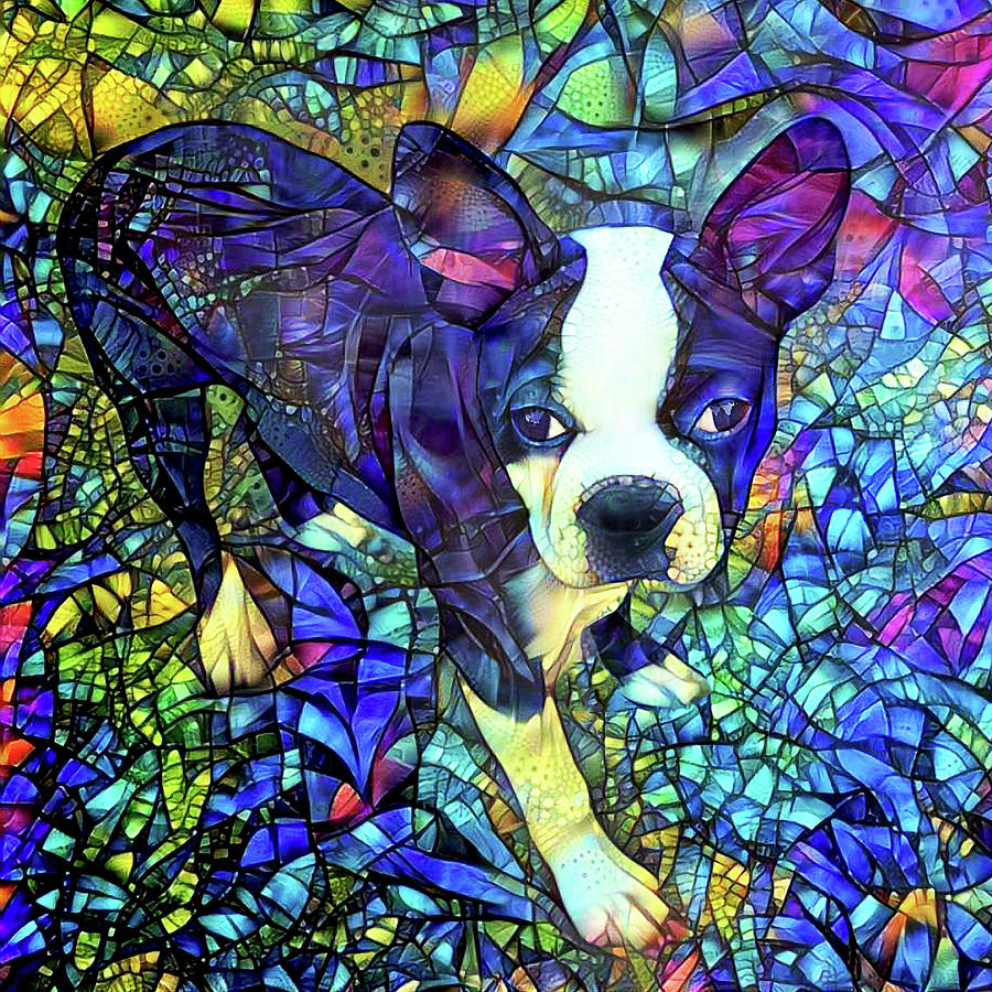 Colorful Boston Terrier Dog Art Digital Art by Peggy Collins