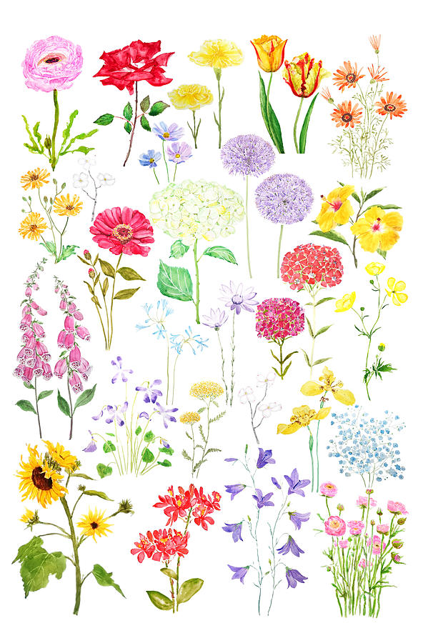 Colorful Botanical Spring Garden  Painting by Color Color