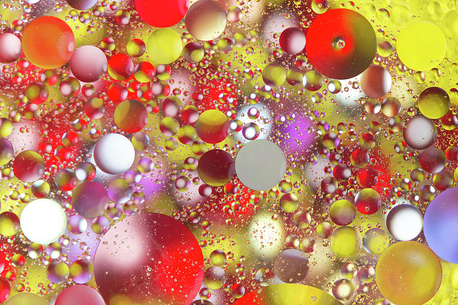 Colorful Bubbles in Oily Water Photograph by Charles Floyd