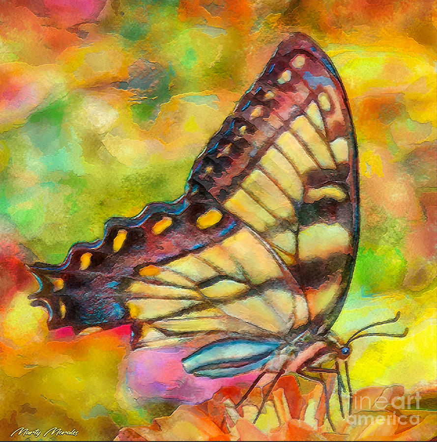 Colorful Butterflies V1 Painting by Martys Royal Art
