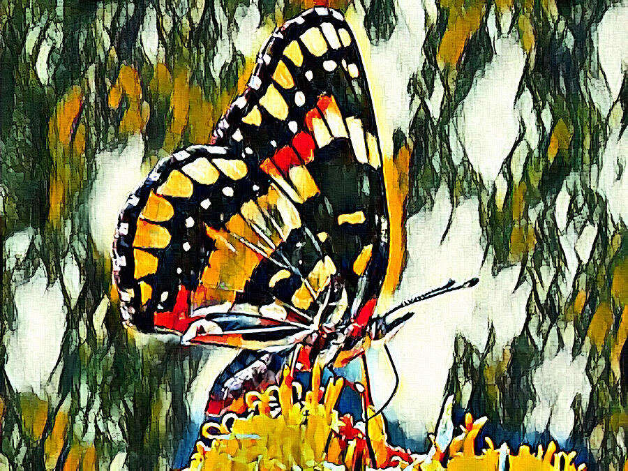 Colorful Butterfly Art Mixed Media by Shelli Fitzpatrick