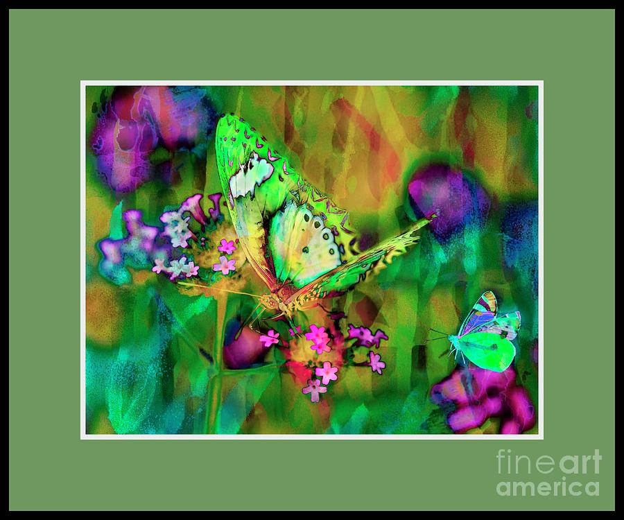Colorful Butterfly Photograph by Cathy Donohoue