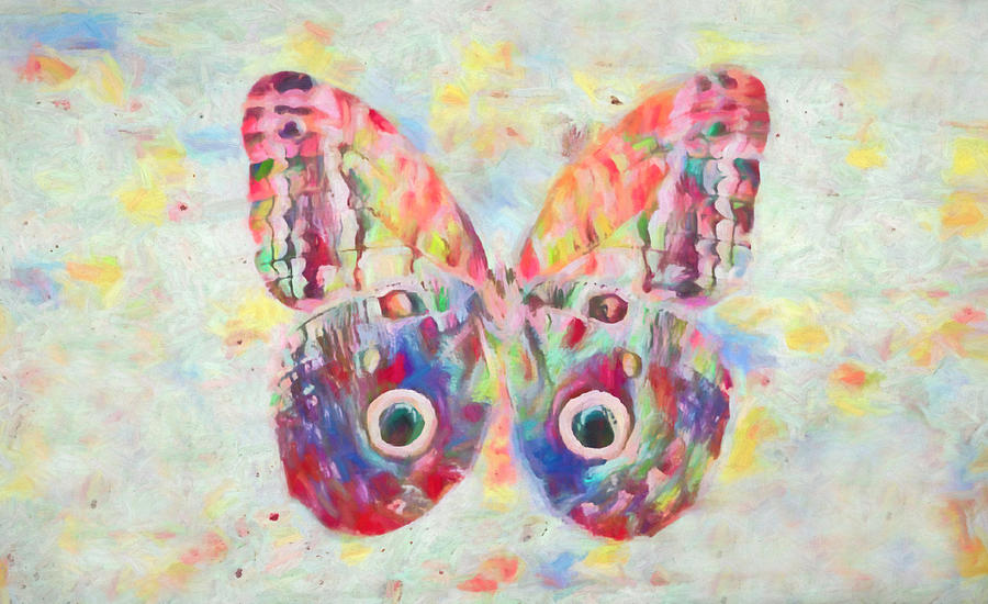 Colorful Butterfly Digital Art by Ernest Echols