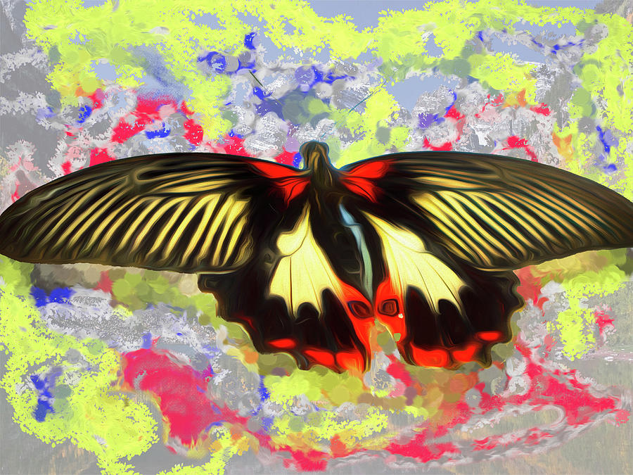 Colorful Butterfly Giant 1025a Digital Art by Cathy Anderson