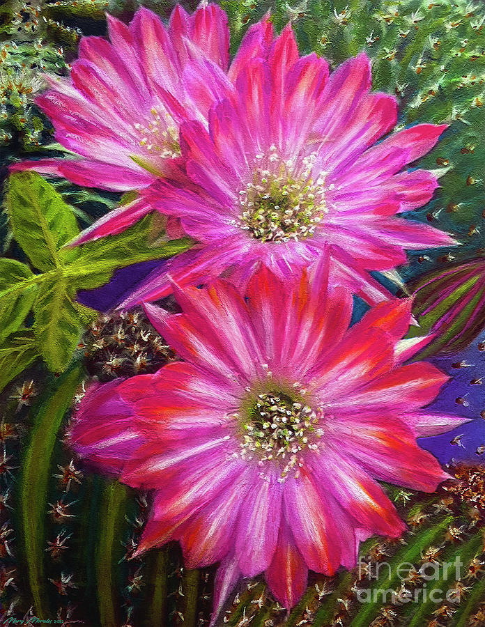 Colorful Cactus V3 Pastel by Marty's Royal Art | Pixels