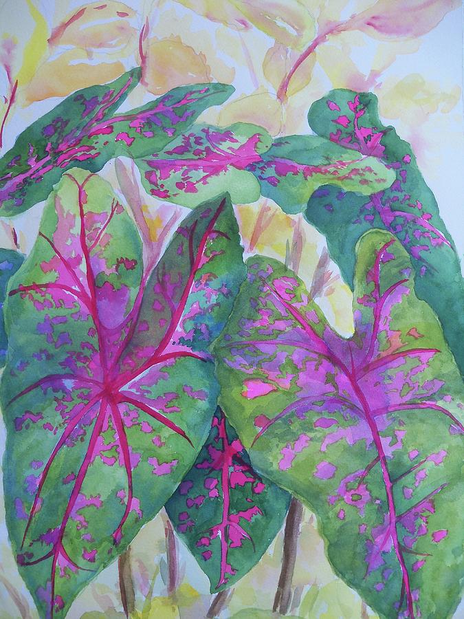 Colorful Caladiums Painting by Sandy Collier