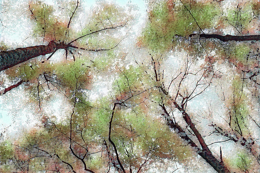 Colorful Canopy ap Painting by Dan Carmichael