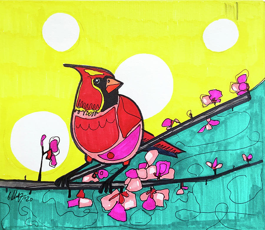Colorful Cardinal Drawing by Creative Spirit