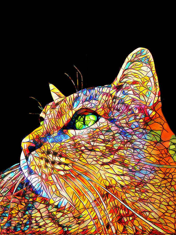 Colorful Cat Art on Black Digital Art by Ann Powell