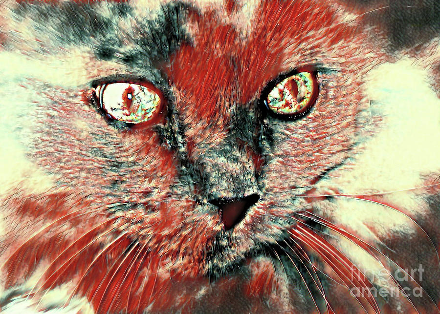 Colorful Cat Mixed Media by Elaine Manley
