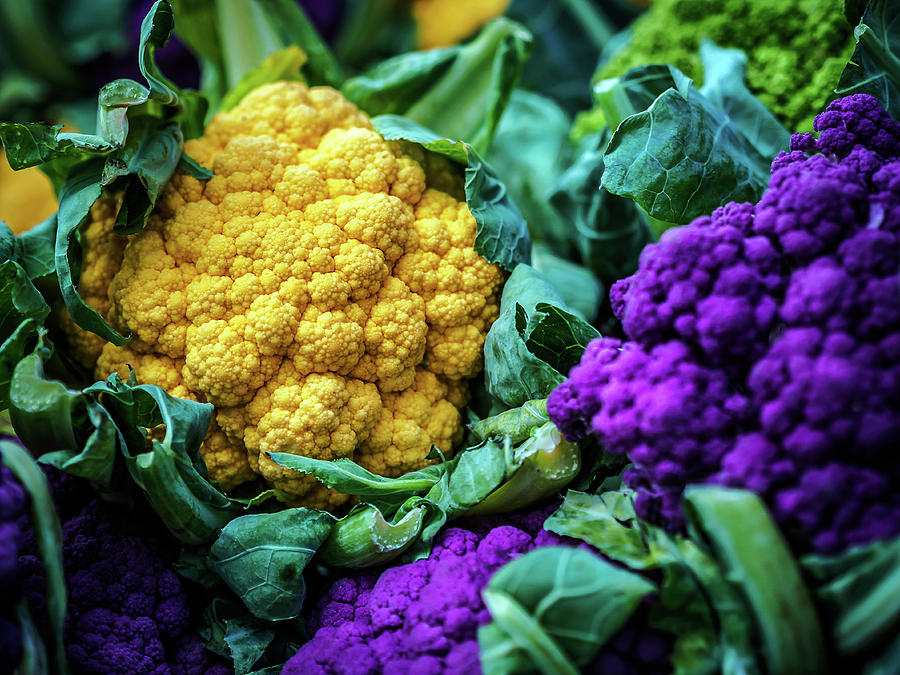 Colorful Cauliflowers Photograph by Luis Vasconcelos