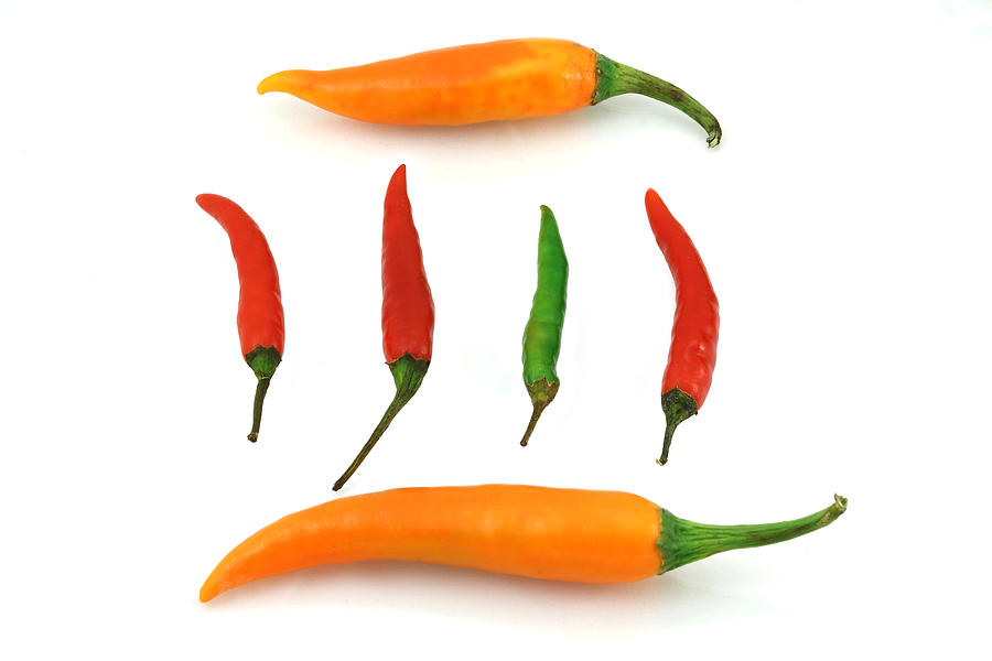 Colorful chili pepper Photograph by Ratth
