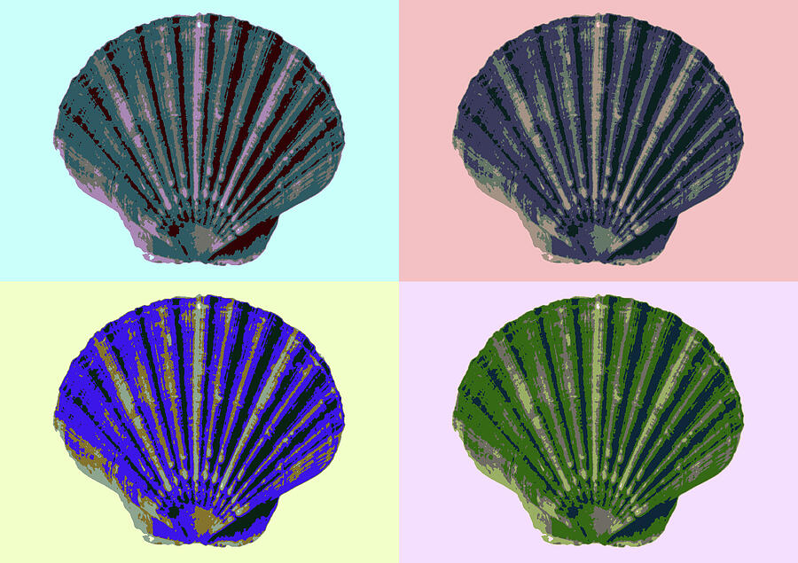 Colorful Clam Seashells Pop-Art Mixed Media by Shelli Fitzpatrick Colorful Clam Seashells Pop-Art Mixed Media by Shelli Fitzpatrick