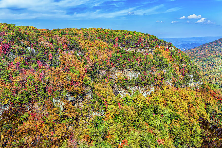 Colorful Cloudland Canyon in the Fall Photograph by John M Bailey