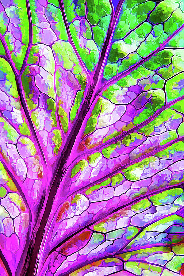 Colorful Coleus Abstract 1 Digital Art by ABeautifulSky Photography by Bill Caldwell