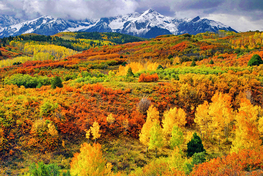Colorful Colorado At Its Best Photograph