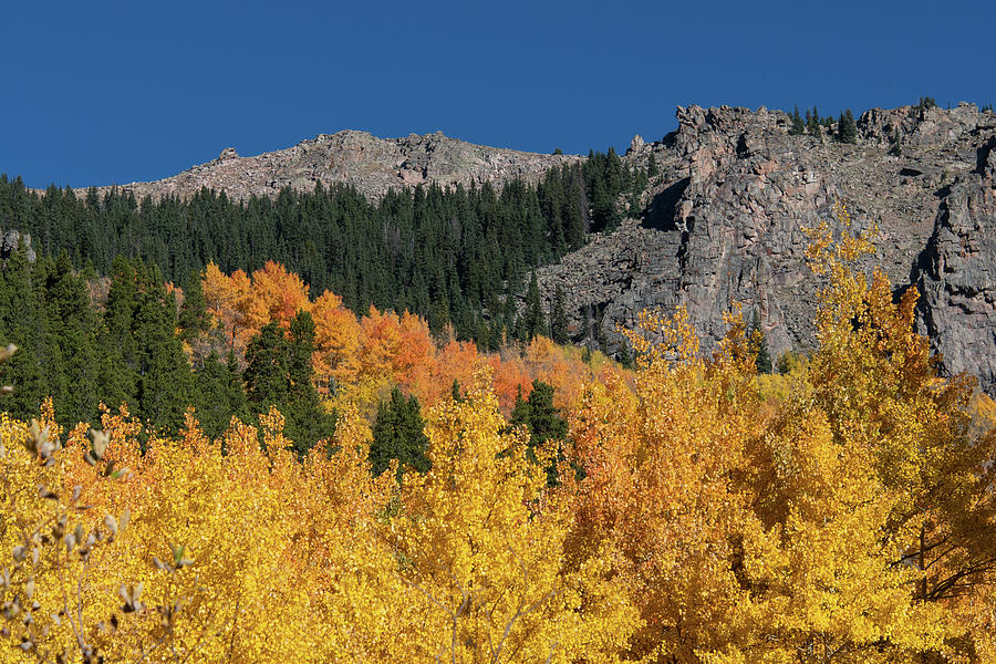 Colorful Colorado Autumn Gold and Orange Photograph by Cascade Colors