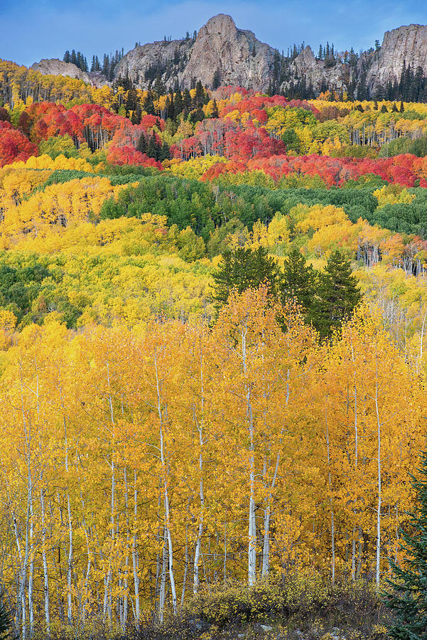 Colorful Colorado Photograph by Greg Wyatt